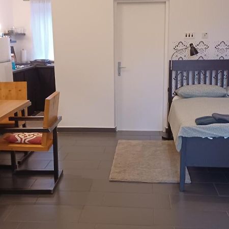 Studio Apartman Ada Samobor Exteriör bild
